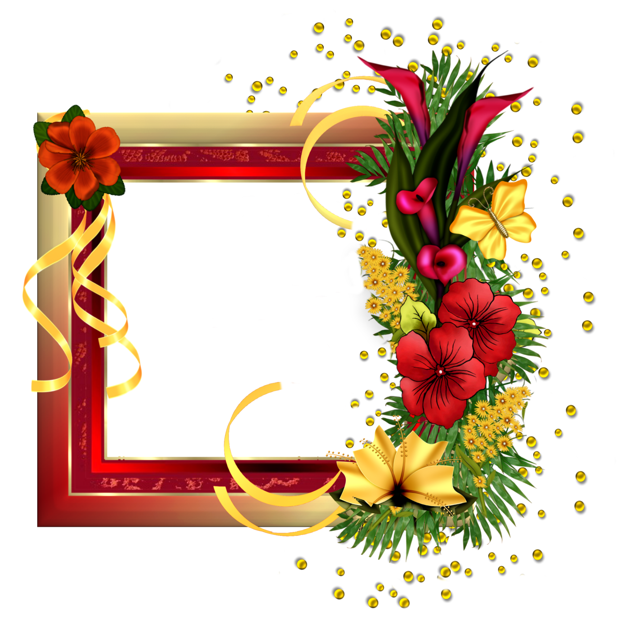 Black Background Png Goimages Network